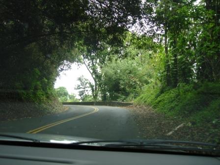 Scenic Route on Big Island